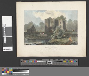 Mallow Castle, Cork