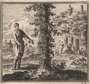 Man bekijkt een met klimop begroeide boom