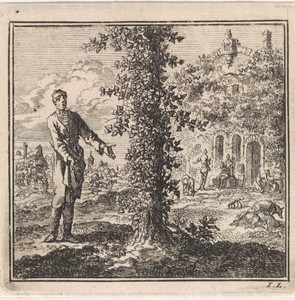 Man bekijkt een met klimop begroeide boom
