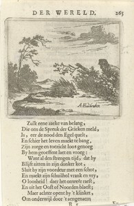 Man besluipt een stekelvarken