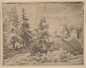 Man between Two Fir Trees