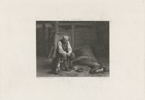 Man bij een dood paard