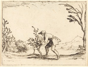 Man Cutting a Balm-Tree