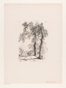 Man en ezel op landweg