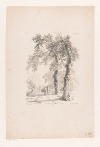 Man en ezel op landweg