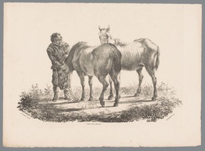 Man en twee paarden