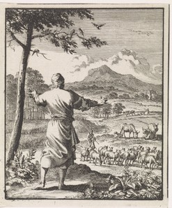 Man in bewondering voor uitgebreid landschap