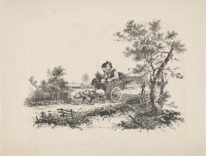 Man in hondenkar