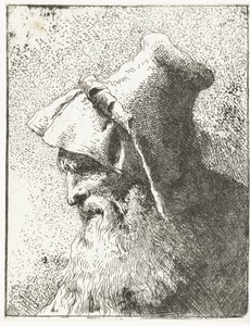 Man met baard en hoed