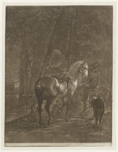 Man met een paard en honden