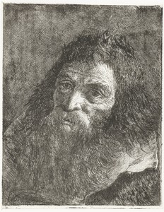 Man met lang haar en baard