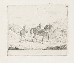 Man met paard in heuvellandschap