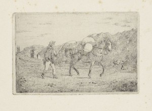 Man met paard in heuvellandschap