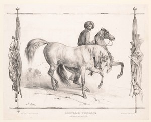 Man met twee Turkse paarden