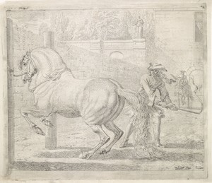 Man met zweep bij een paard