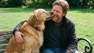 Man's Best Friend
