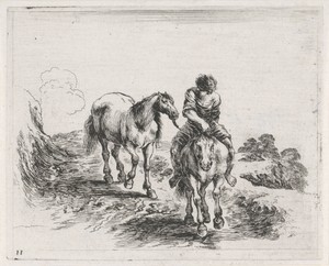 Man te paard voert een ander paard mee