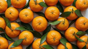 Mandarins Pattern Top Down
