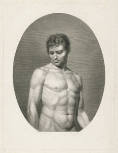 Mannelijk naakt