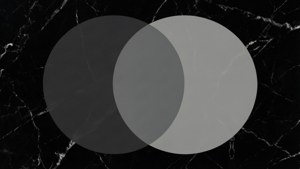Marble Monochrome Venn