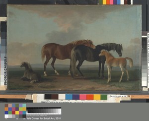 Mares and Foals, facing right