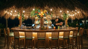 Margaritaville Night Bar