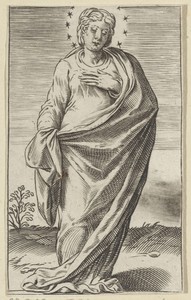 Maria met een krans van sterren