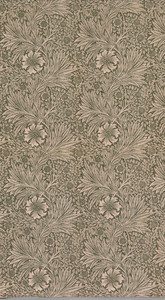 Marigold