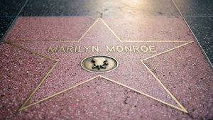 Marilyn Monroe Star Close-Up