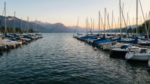 Marina Sunset