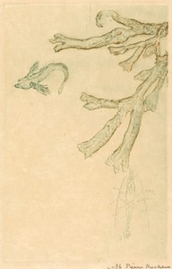 Marine Algae (Algues marines)