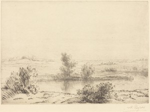Marsh (Les marais)