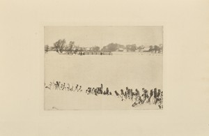 Marsh Weeds