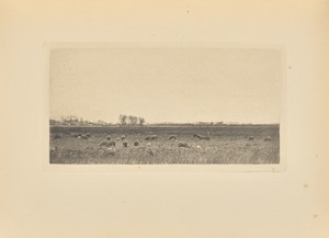 [Marshes By the North Sea]