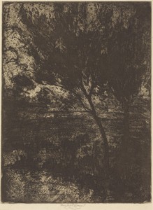 Marshlands
