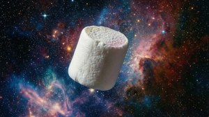 Marshmallow in Space