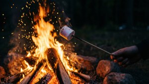 Marshmallow Toasting Silhouette