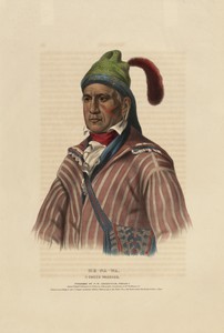 Me-Na-Wa: A Creek Warrior