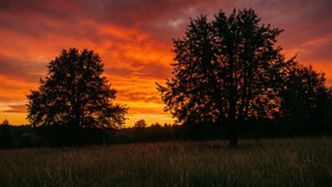 Meadow Fire Sunset