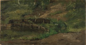 Meadow Landscape