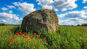 Meadow Monolith with Poppies