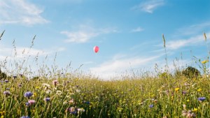 Meadow of Joy Balloon