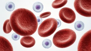 Medical Illustration Blood Cells