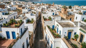 Medina from Above