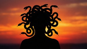 Medusa's Silhouette