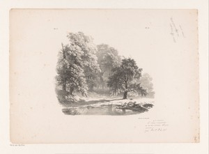 Meer in het bos