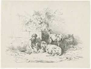 Meisje zittend bij schapen