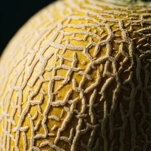 Melon Skin Texture