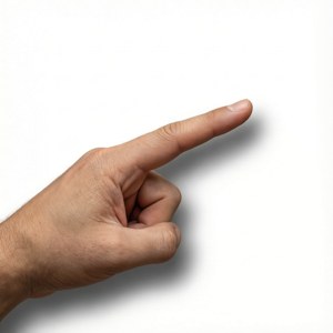 Meme Finger Point Template