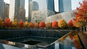 Memorial Autumn